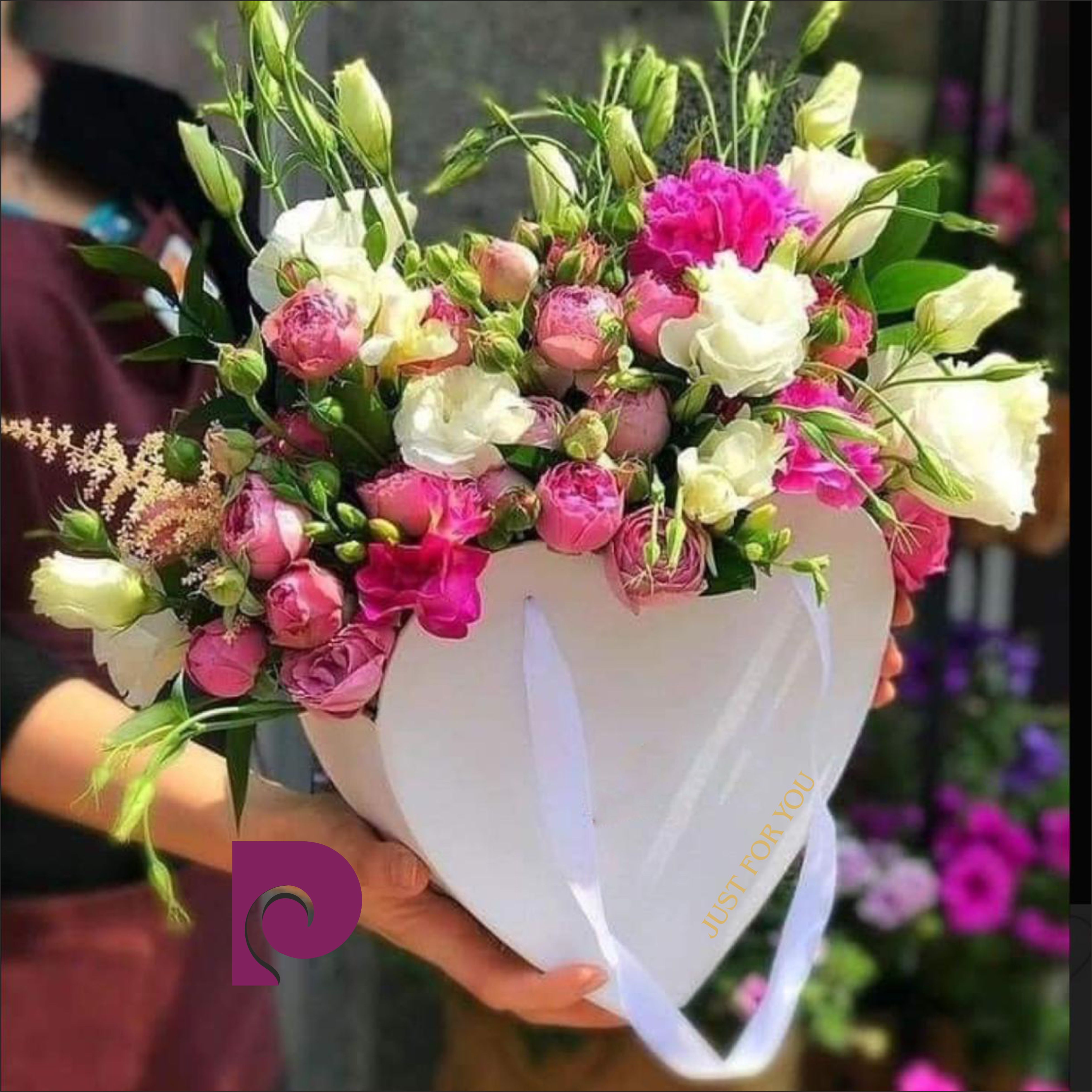 KALP KUTU 10’LU PAKET