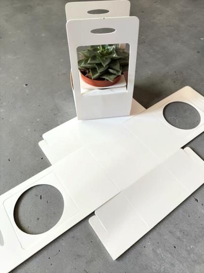 Seperatörlü Sukulent Kutusu 30’lu Paket