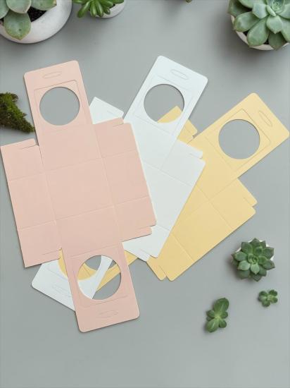 Seperatörlü Sukulent Kutusu 30’lu Karma Paket